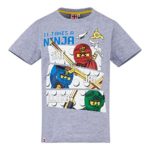 Lego Ninjago Garçon Tee-Shirt - Gris