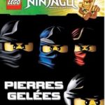 LEGO NINJAGO BD 5 PIERRES GELEES