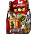 Cole DX – 2170 – LEGO Ninjago