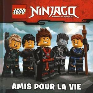 LEGO NINJAGO  Amis pour la vie