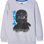 Lego Wear, Sweat-Shirt Garçon