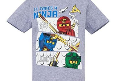 Lego Ninjago Garçon Tee-Shirt – Gris