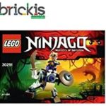 LEGO Ninjago 30291 anacondrai Batlle Mech